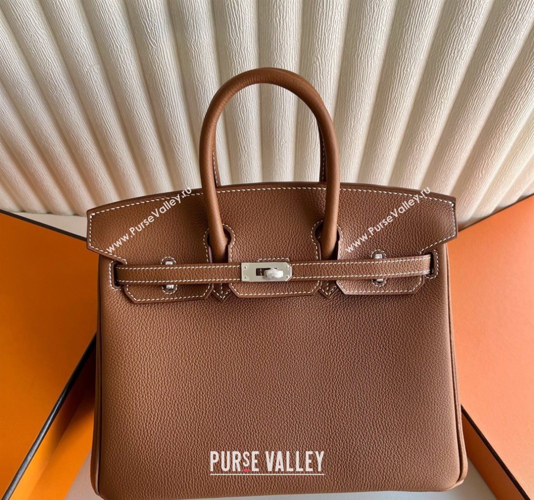 Hermes Birkin 25 Bag in Togo Calfskin Leather Brown/Silver 2025 (Full Handmade) (XY-251125058)