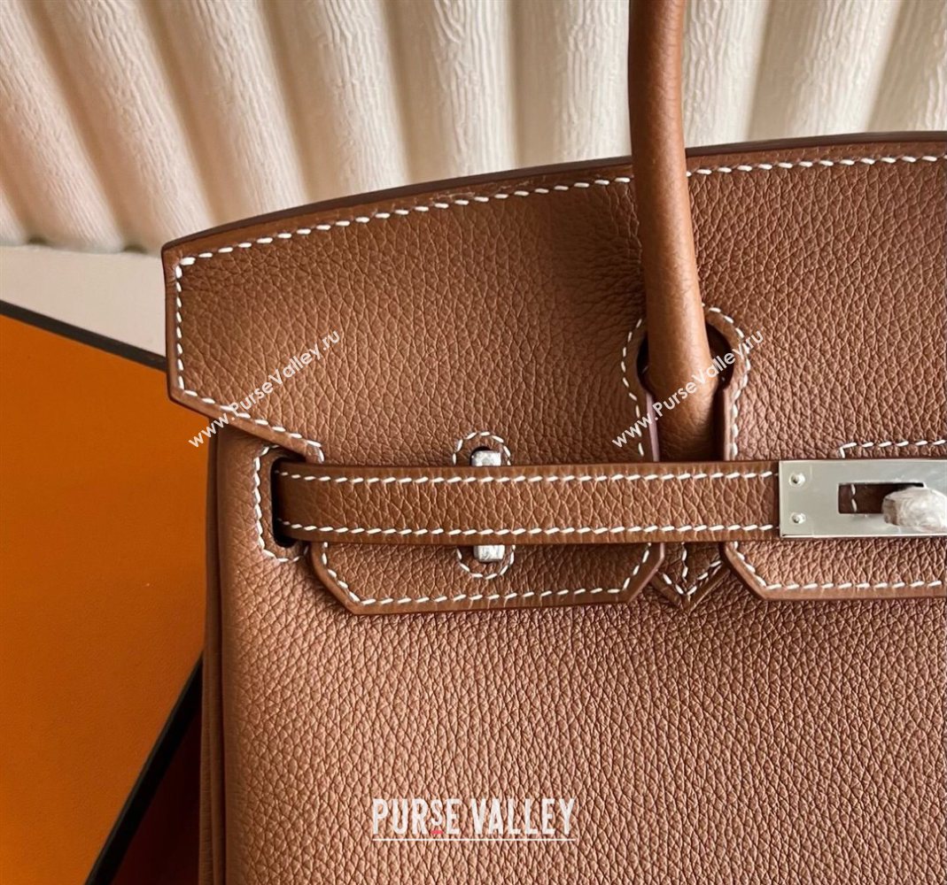 Hermes Birkin 25 Bag in Togo Calfskin Leather Brown/Silver 2025 (Full Handmade) (XY-251125058)