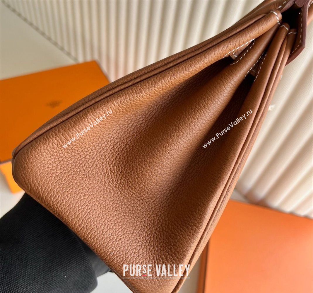 Hermes Birkin 25 Bag in Togo Calfskin Leather Brown/Silver 2025 (Full Handmade) (XY-251125058)