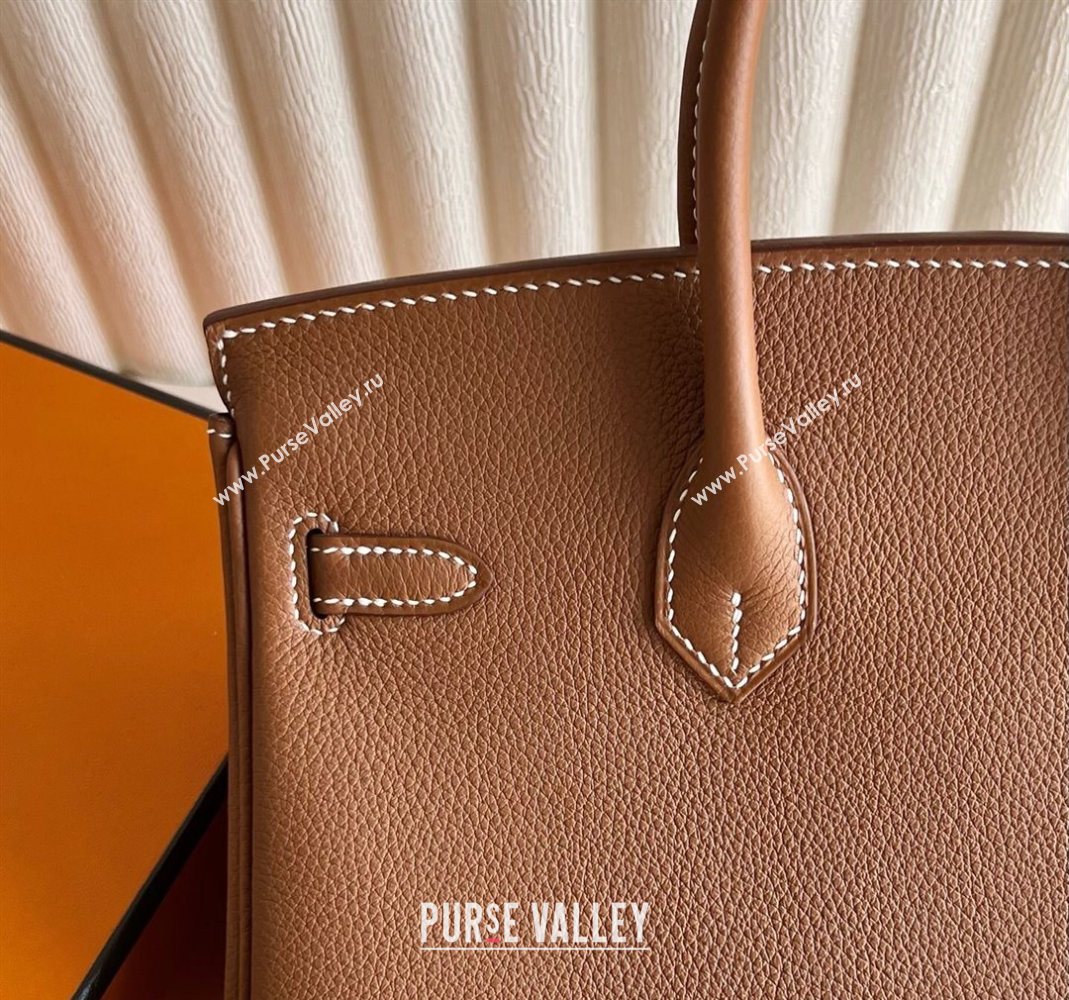 Hermes Birkin 25 Bag in Togo Calfskin Leather Brown/Silver 2025 (Full Handmade) (XY-251125058)