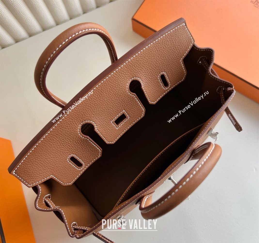 Hermes Birkin 25 Bag in Togo Calfskin Leather Brown/Silver 2025 (Full Handmade) (XY-251125058)