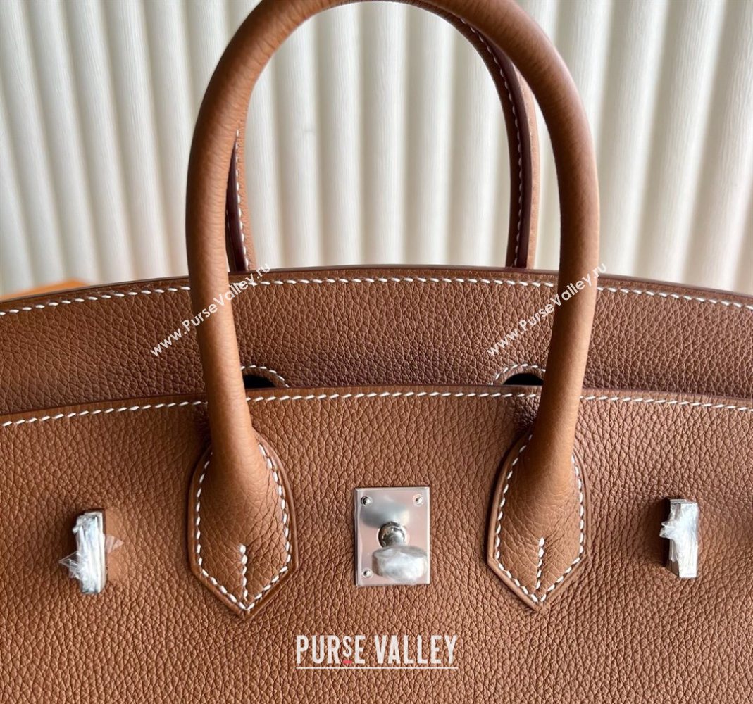 Hermes Birkin 25 Bag in Togo Calfskin Leather Brown/Silver 2025 (Full Handmade) (XY-251125058)