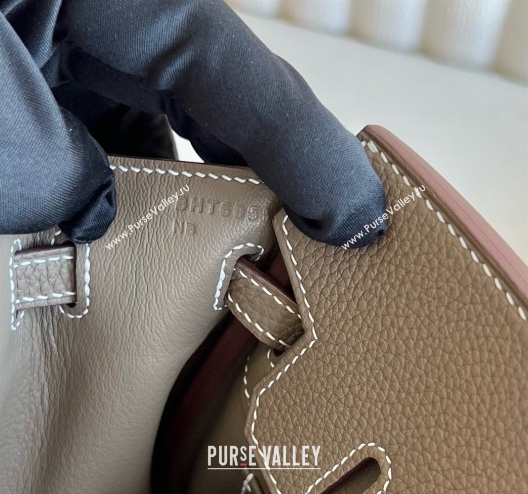 Hermes Birkin 25 Bag in Togo Calfskin Leather Elephant Grey/Gold 2025 (Full Handmade) (XY-251125060)