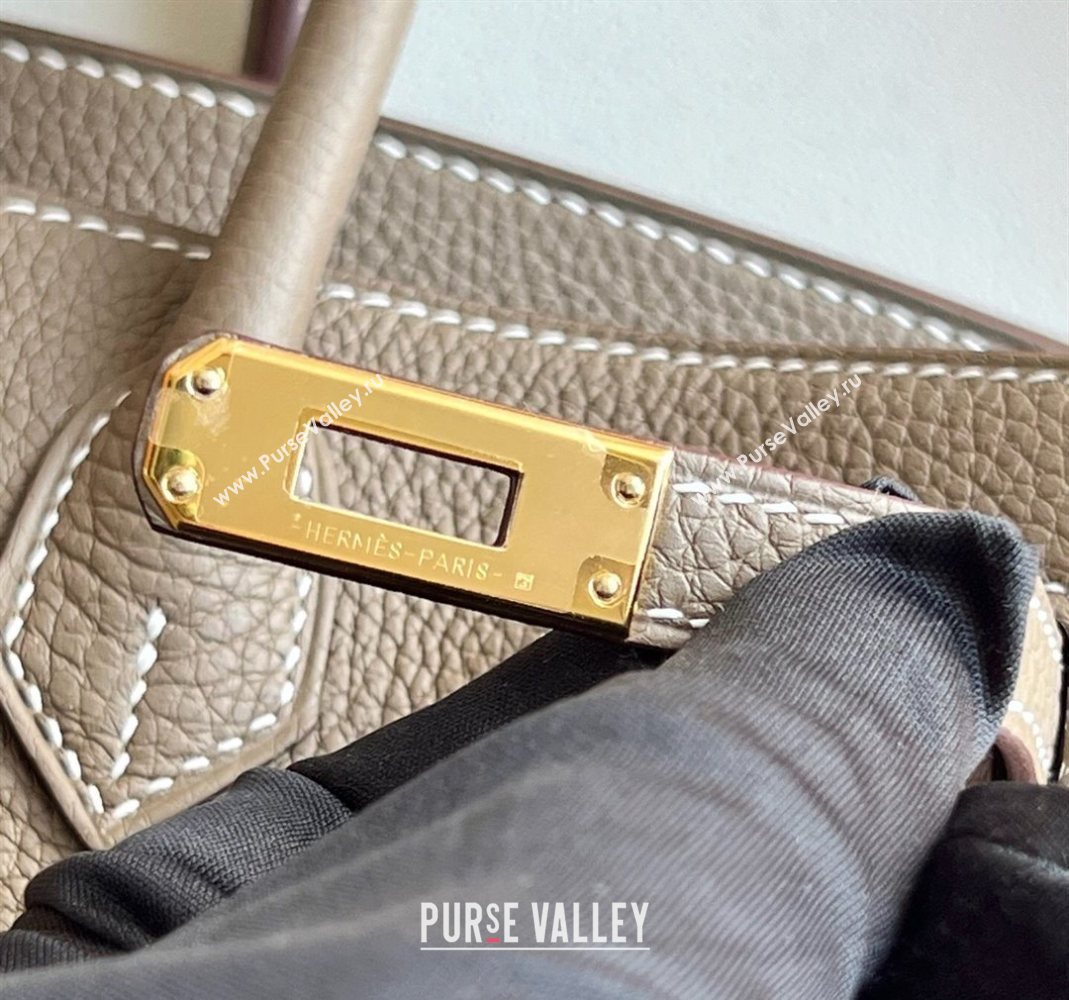 Hermes Birkin 25 Bag in Togo Calfskin Leather Elephant Grey/Gold 2025 (Full Handmade) (XY-251125060)