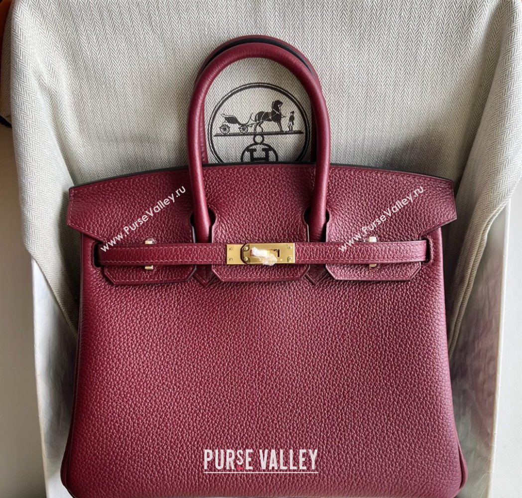 Hermes Birkin 25 Bag in Togo Calfskin Leather Hermes Red 2025 (Full Handmade) (XY-251125061)