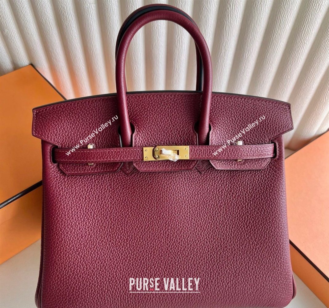 Hermes Birkin 25 Bag in Togo Calfskin Leather Hermes Red 2025 (Full Handmade) (XY-251125061)