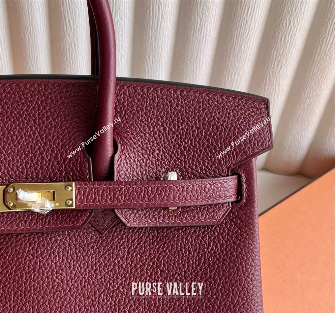 Hermes Birkin 25 Bag in Togo Calfskin Leather Hermes Red 2025 (Full Handmade) (XY-251125061)