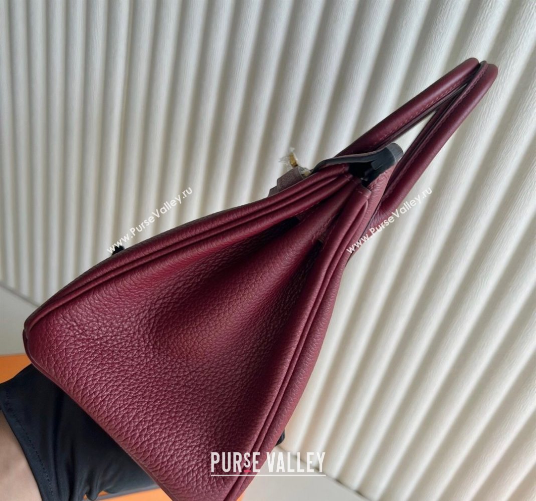 Hermes Birkin 25 Bag in Togo Calfskin Leather Hermes Red 2025 (Full Handmade) (XY-251125061)