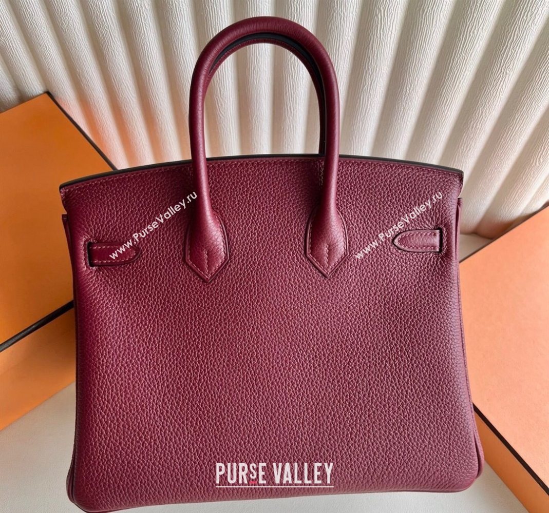 Hermes Birkin 25 Bag in Togo Calfskin Leather Hermes Red 2025 (Full Handmade) (XY-251125061)