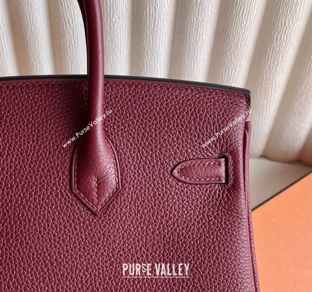 Hermes Birkin 25 Bag in Togo Calfskin Leather Hermes Red 2025 (Full Handmade) (XY-251125061)