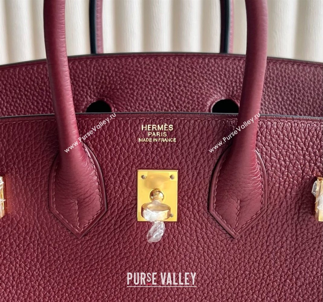 Hermes Birkin 25 Bag in Togo Calfskin Leather Hermes Red 2025 (Full Handmade) (XY-251125061)