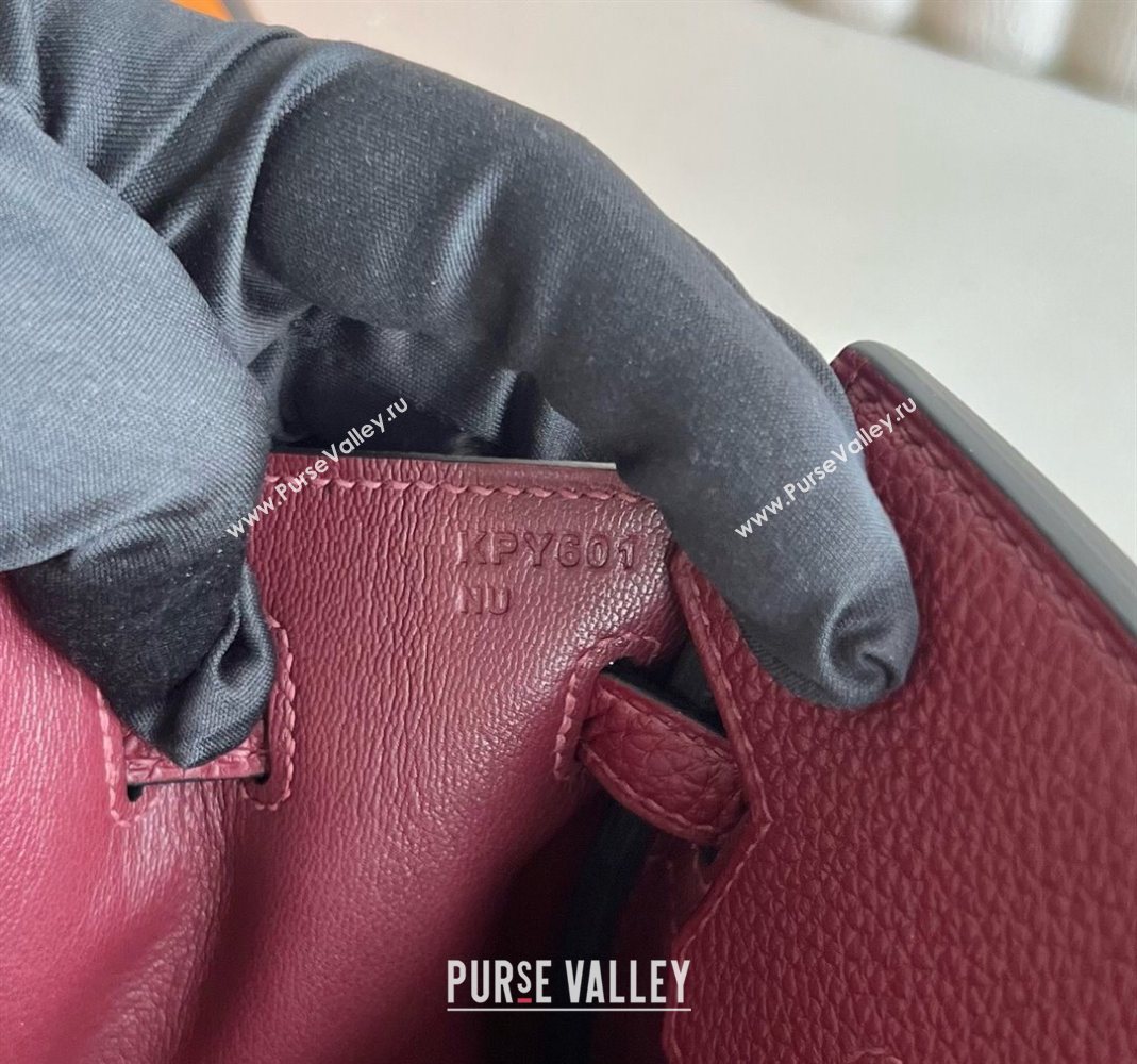 Hermes Birkin 25 Bag in Togo Calfskin Leather Hermes Red 2025 (Full Handmade) (XY-251125061)
