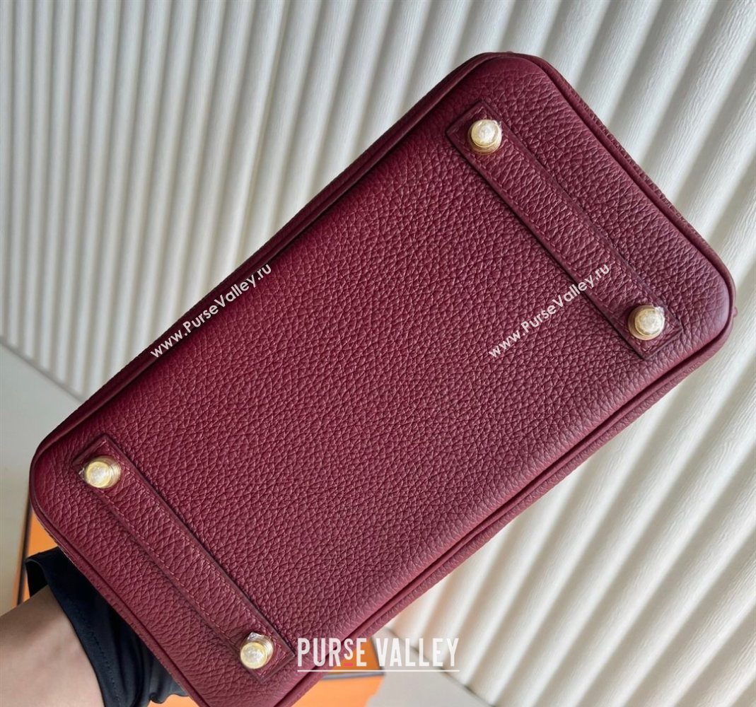 Hermes Birkin 25 Bag in Togo Calfskin Leather Hermes Red 2025 (Full Handmade) (XY-251125061)