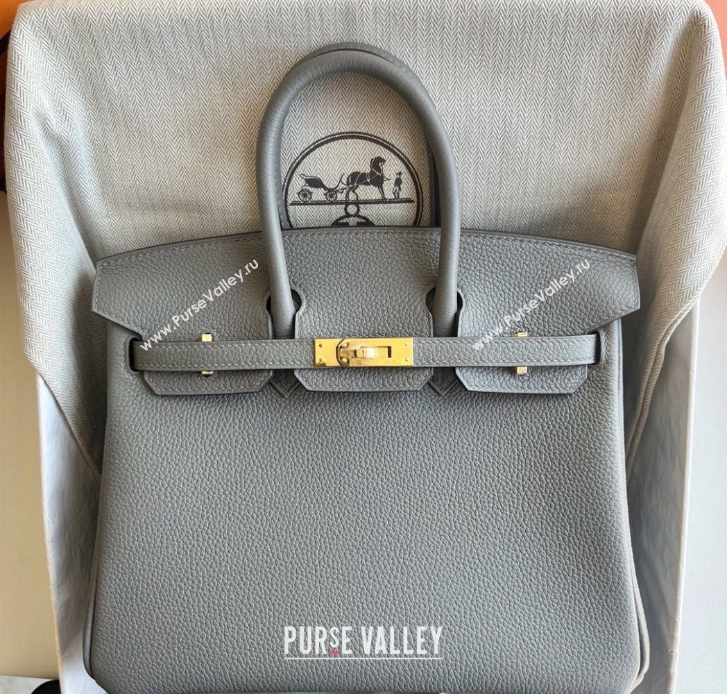 Hermes Birkin 25 Bag in Togo Calfskin Leather Cloud Grey 2025 (Full Handmade) (XY-251125062)