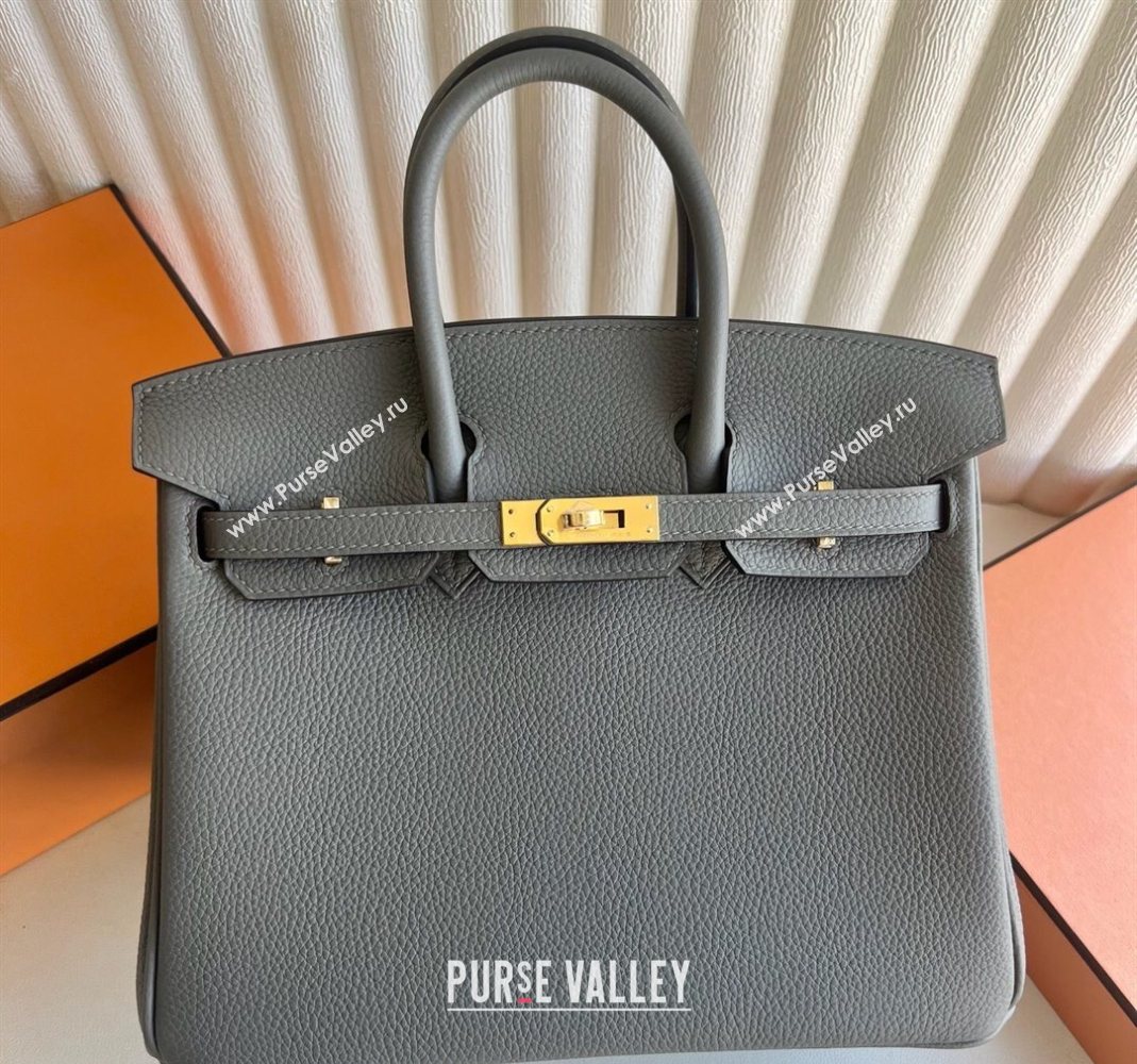 Hermes Birkin 25 Bag in Togo Calfskin Leather Cloud Grey 2025 (Full Handmade) (XY-251125062)