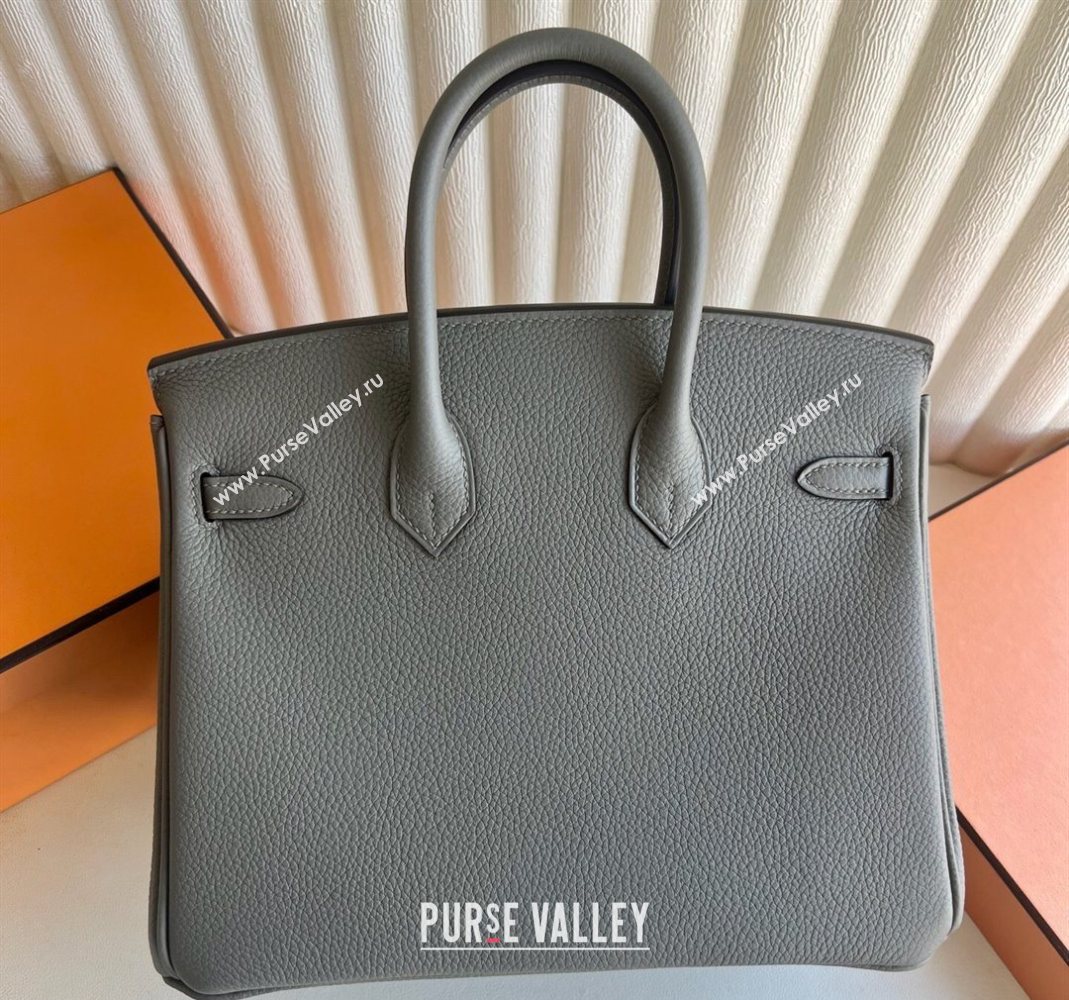 Hermes Birkin 25 Bag in Togo Calfskin Leather Cloud Grey 2025 (Full Handmade) (XY-251125062)