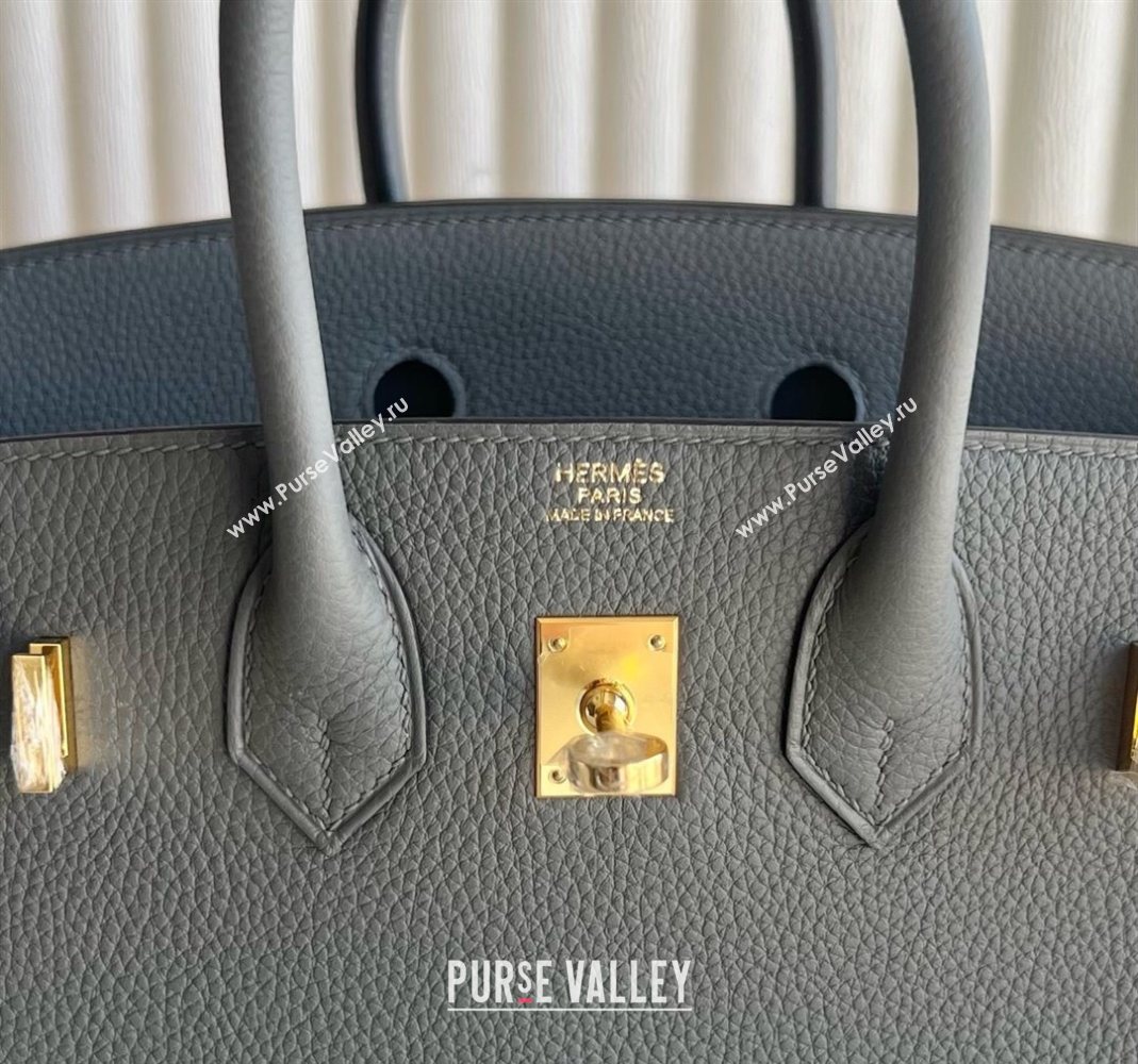Hermes Birkin 25 Bag in Togo Calfskin Leather Cloud Grey 2025 (Full Handmade) (XY-251125062)