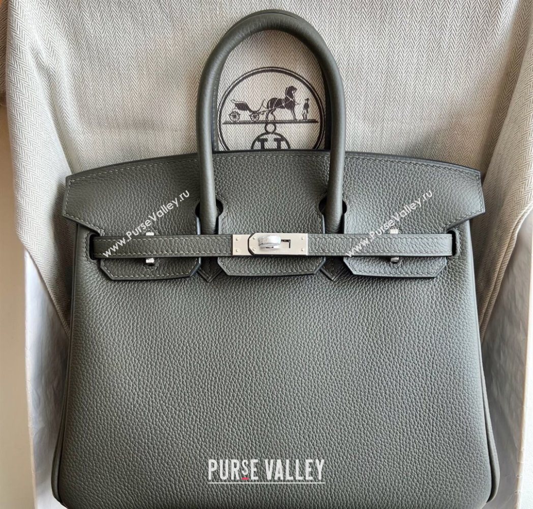 Hermes Birkin 25 Bag in Togo Calfskin Leather Dusty Green 2025 (Full Handmade) (XY-251125063)