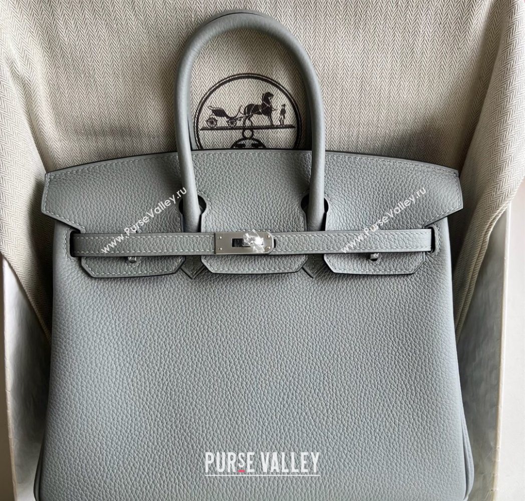Hermes Birkin 25 Bag in Togo Calfskin Leather Sea Mew Grey 2025 (Full Handmade) (XY-251125066)
