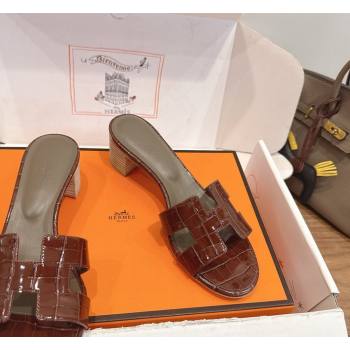 Hermes Oasis Classic Heel Slides Sandal 4.5cm in Crocodile Embossed Leather Dark Brown 2026 0304 (XC-260304044)