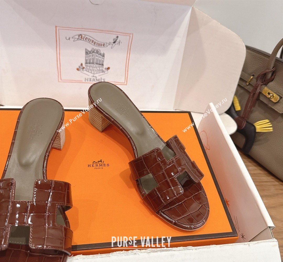 Hermes Oasis Classic Heel Slides Sandal 4.5cm in Crocodile Embossed Leather Dark Brown 2026 0304 (XC-260304044)