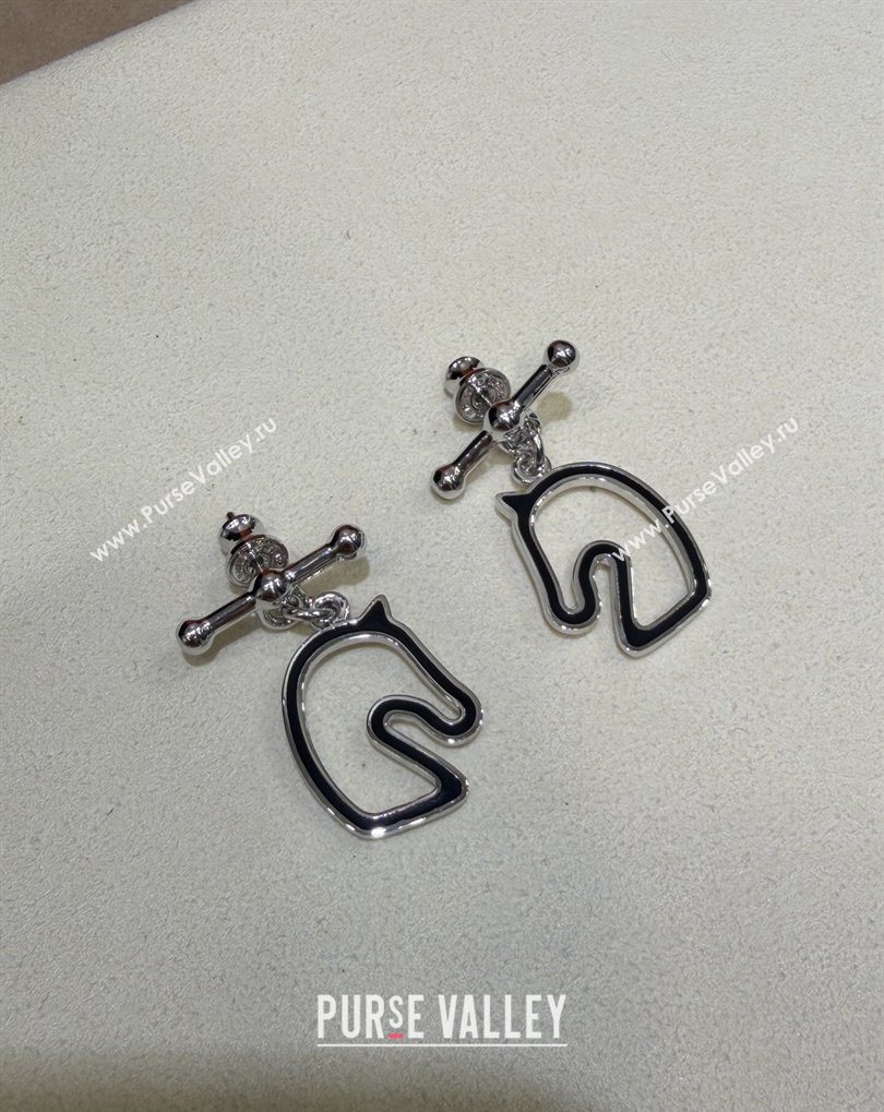 Hermes Tonnerre Earrings Black/Silver 2026 0320 (YF-260320130)