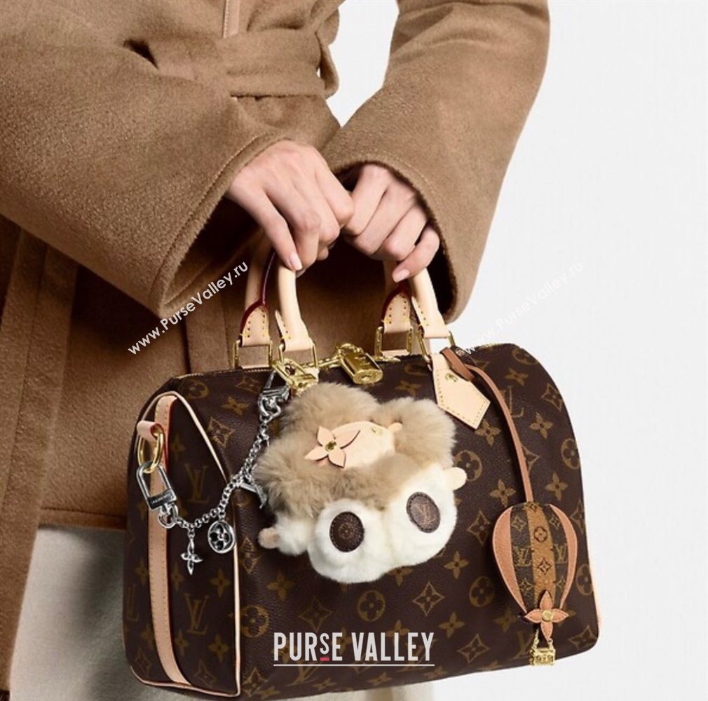 Louis Vuitton LV Iconic Bag Chain M02453 2025 (HY-250722053)