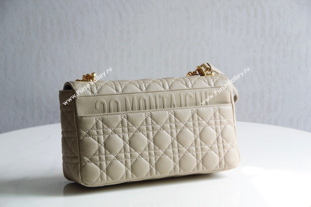 Dior Large Caro Chain Bag in Soft Cannage Calfskin Beige 2024 (DMZ-24052203)