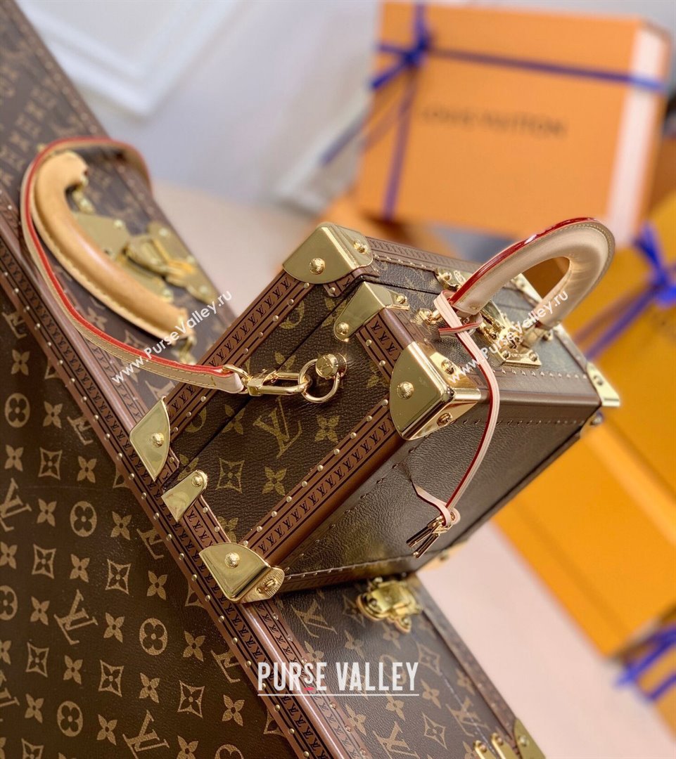 Louis Vuitton Valisette Tresor Box Bag in Monogram Canvas M45675 2021 (KI-21101318)