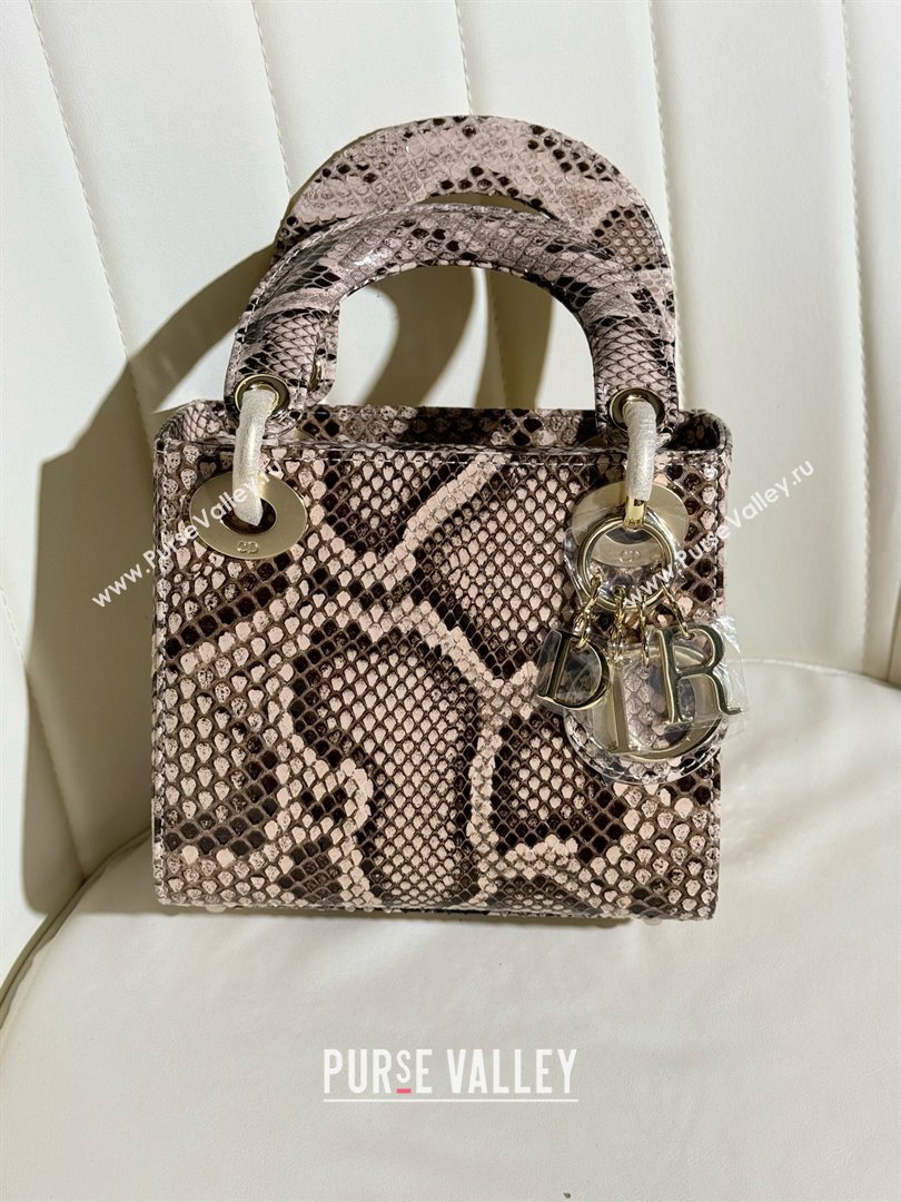 Dior Mini Lady Dior Bag in Python Leather D123007 Grey/Gold 2024 (XY-24123007)