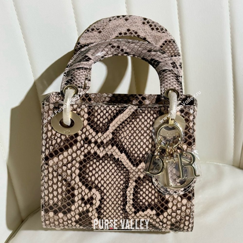 Dior Mini Lady Dior Bag in Python Leather D123007 Grey/Gold 2024 (XY-24123007)