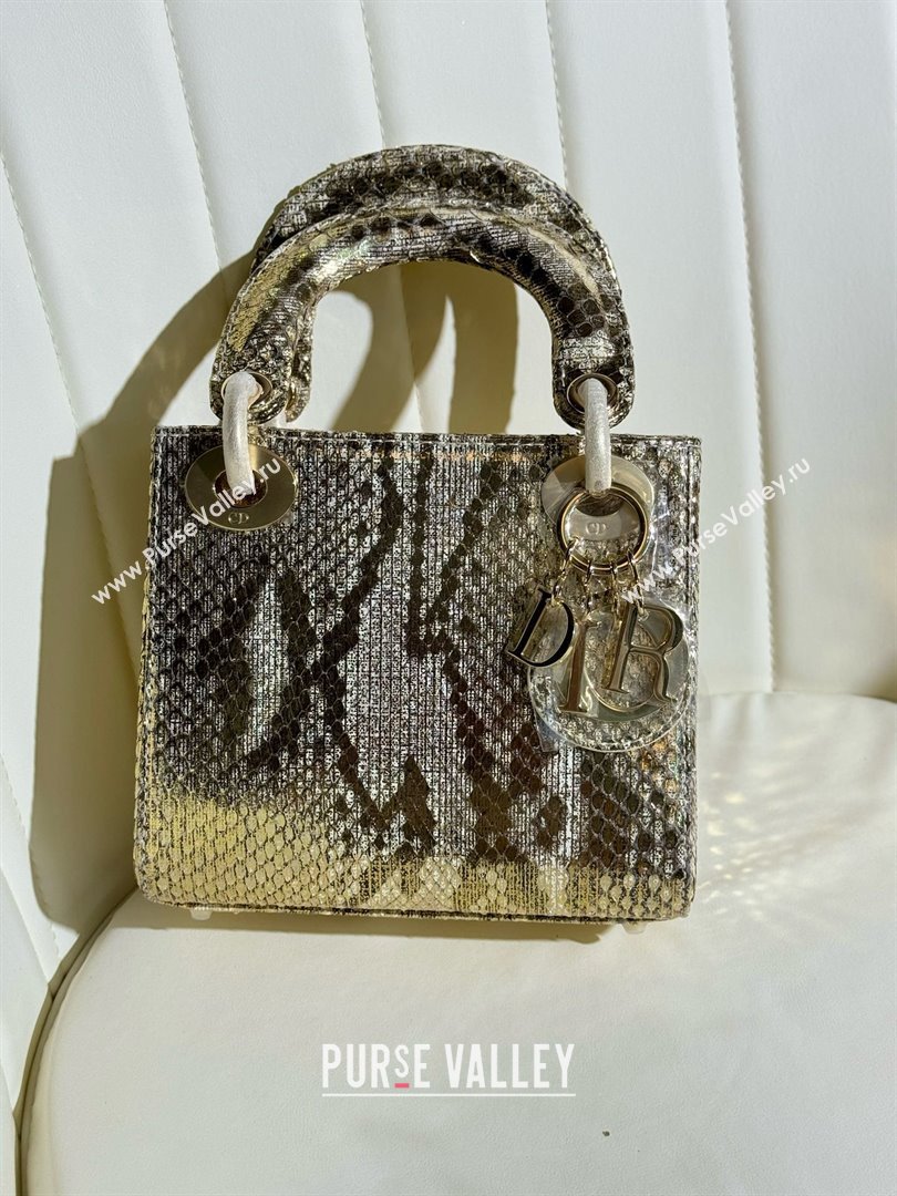 Dior Mini Lady Dior Bag in Python Leather D123008 Grey/Gold 2024 (XY-24123008)