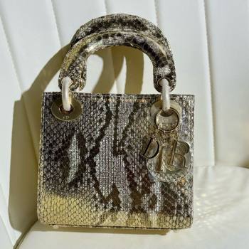 Dior Mini Lady Dior Bag in Python Leather D123008 Grey/Gold 2024 (XY-24123008)