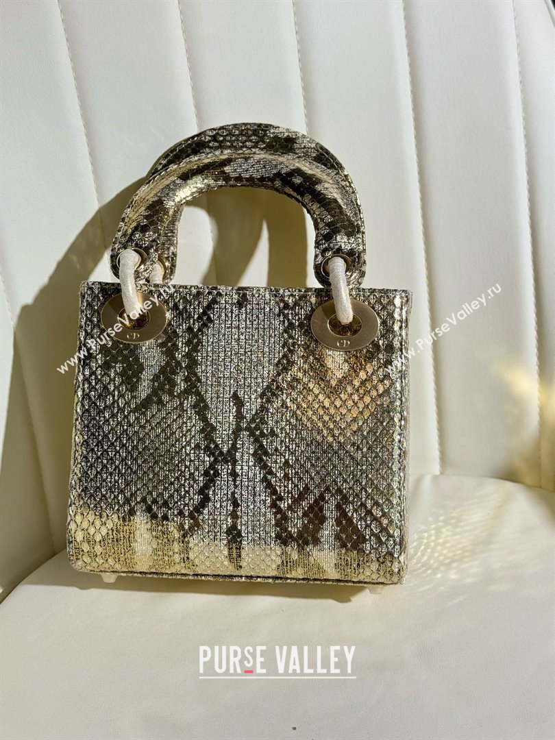 Dior Mini Lady Dior Bag in Python Leather D123008 Grey/Gold 2024 (XY-24123008)