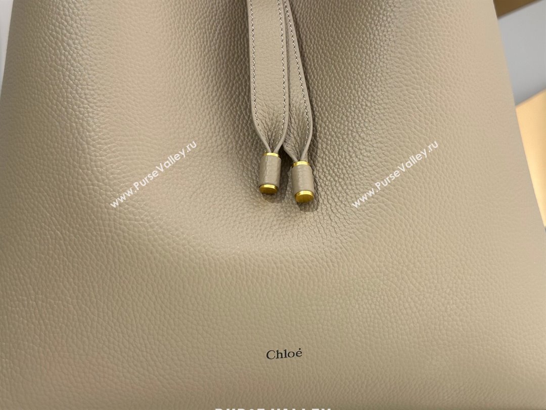 Chloe Marcie Hobo Bag in Shiny Grained Calfskin L765-9 Grey 2024 (DL-24090512)