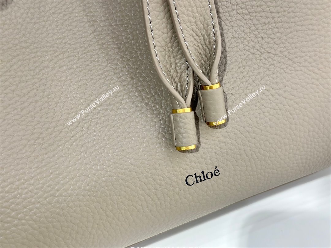 Chloe Small Marcie Hobo Bag in Shiny Grained Calfskin L765-8 Grey 2024 (DL-24090513)