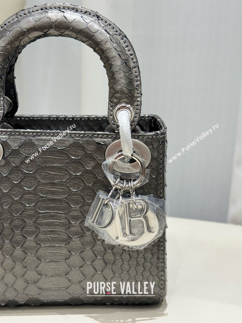 Dior Mini Lady Dior Bag in Python Leather D123014 Grey/Silver 2024 (XY-24123014)