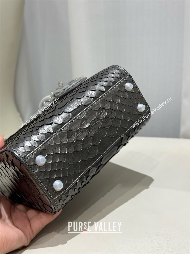 Dior Mini Lady Dior Bag in Python Leather D123014 Grey/Silver 2024 (XY-24123014)