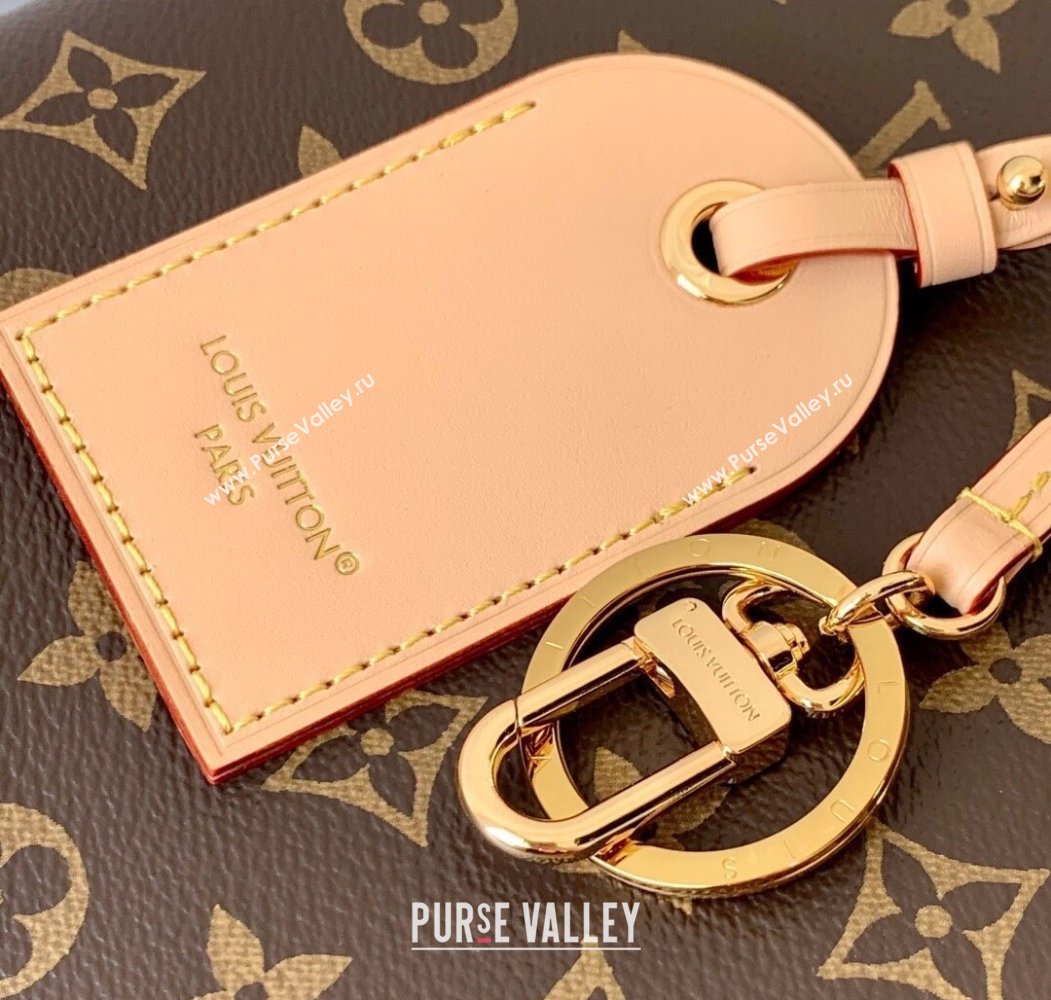 Louis Vuitton Again Handbag in Monogram Canvas M25877 2025 (KI-250809066)