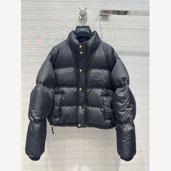 Celine Down Jacket C111036 Black 2023 (Q-23111036)