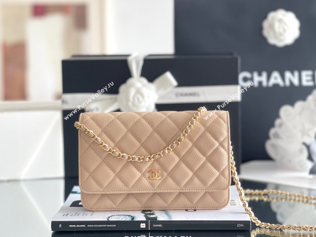 Chanel Grained Calfskin Classic Wallet on Chain WOC Beige/Gold 2024 Top Quality (MHE-24071610)