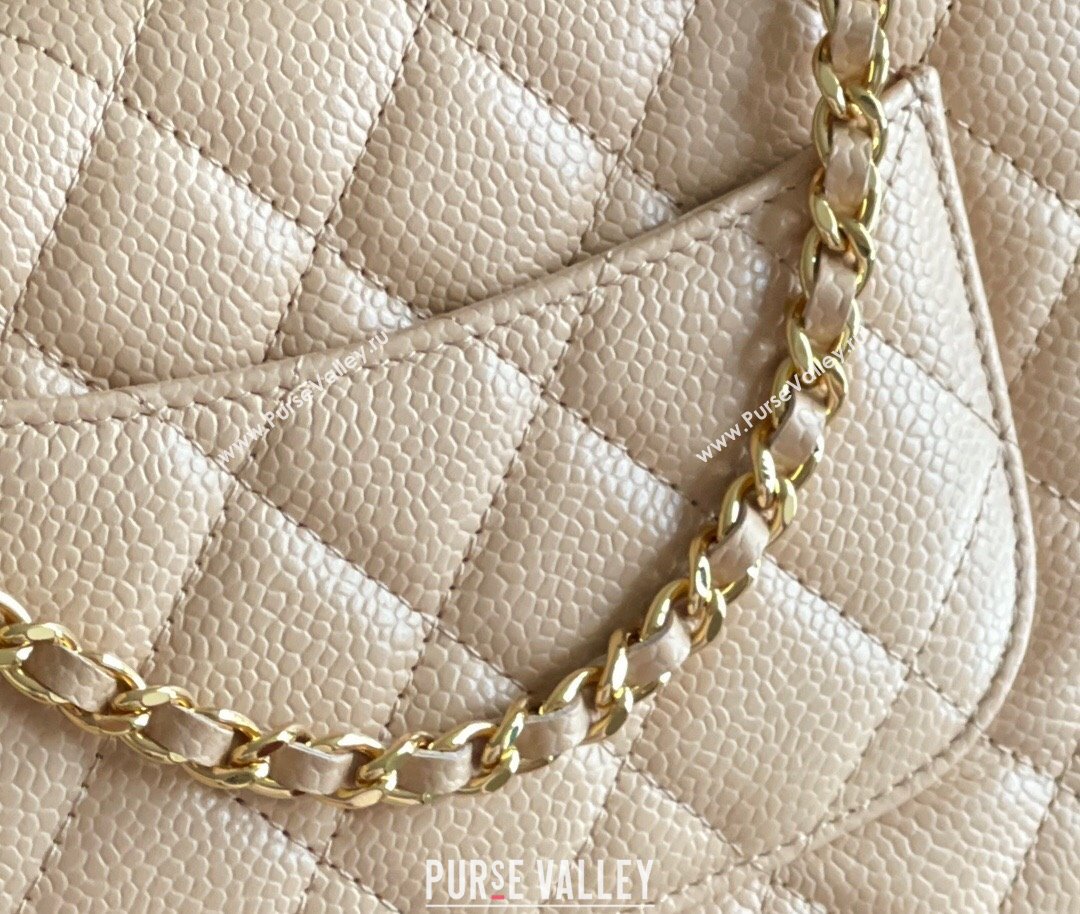 Chanel Grained Calfskin Classic Wallet on Chain WOC Beige/Gold 2024 Top Quality (MHE-24071610)