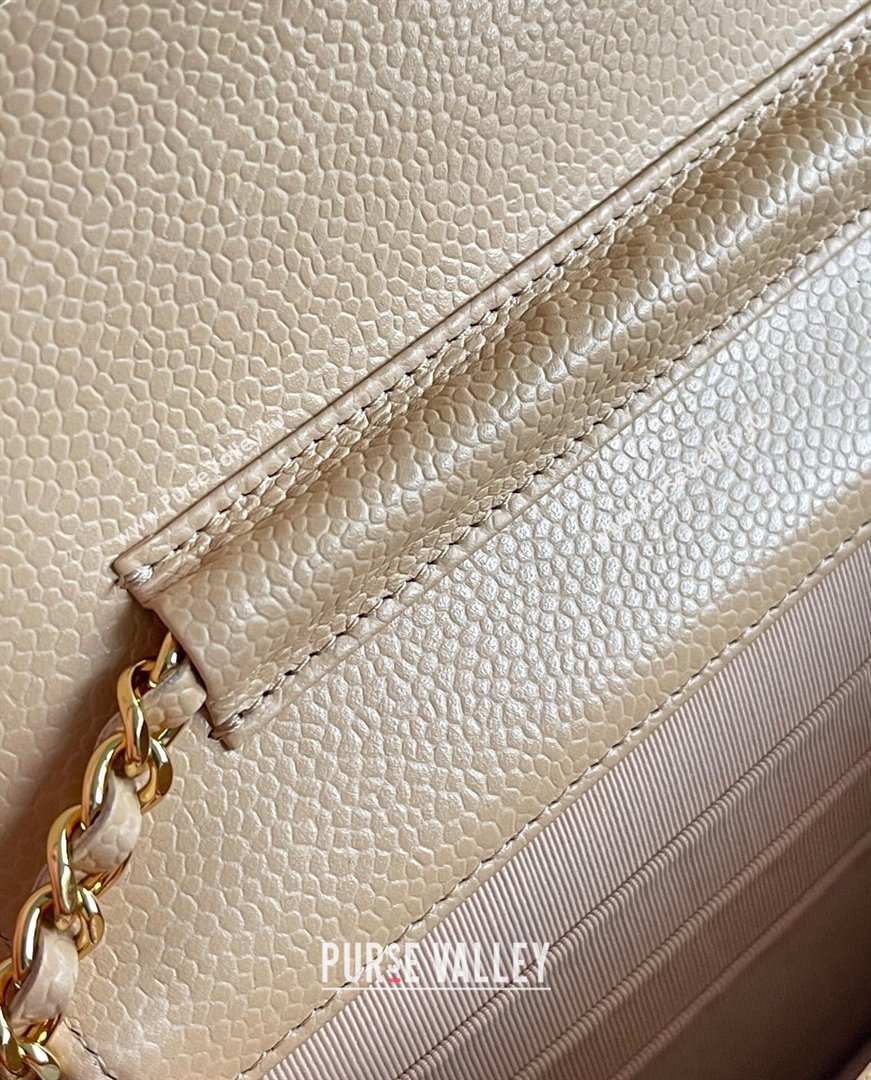 Chanel Grained Calfskin Classic Wallet on Chain WOC Beige/Gold 2024 Top Quality (MHE-24071610)