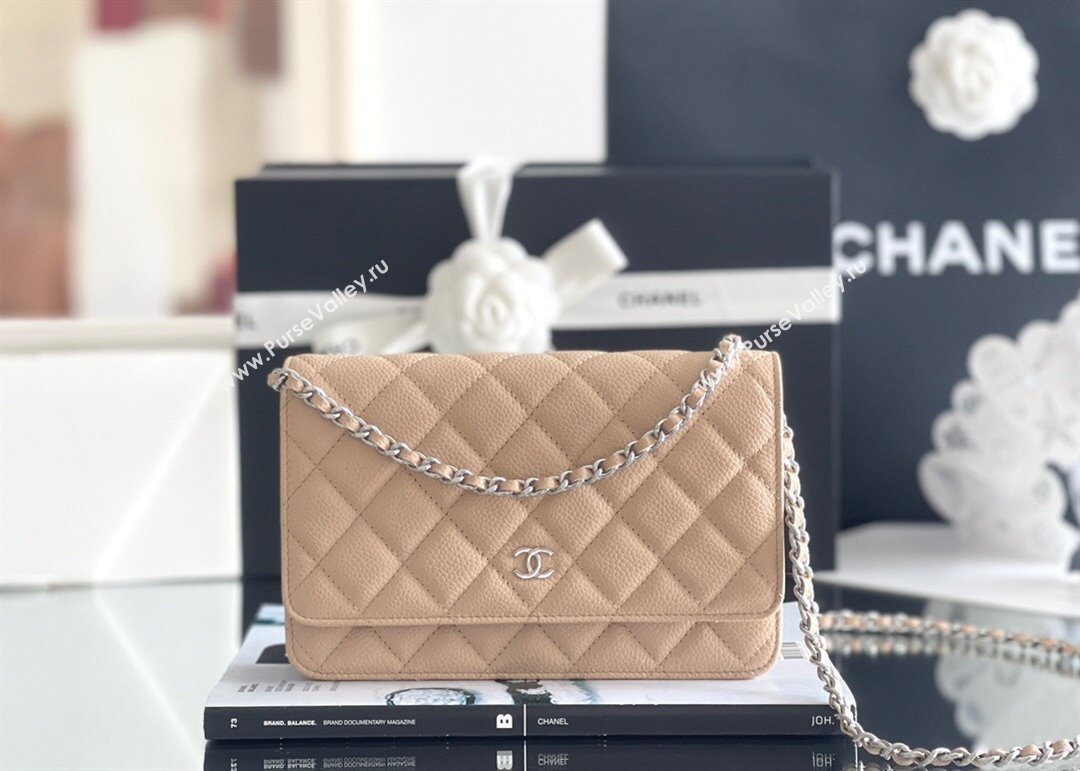 Chanel Grained Calfskin Classic Wallet on Chain WOC Beige/Silver 2024 Top Quality (MHE-24071611)