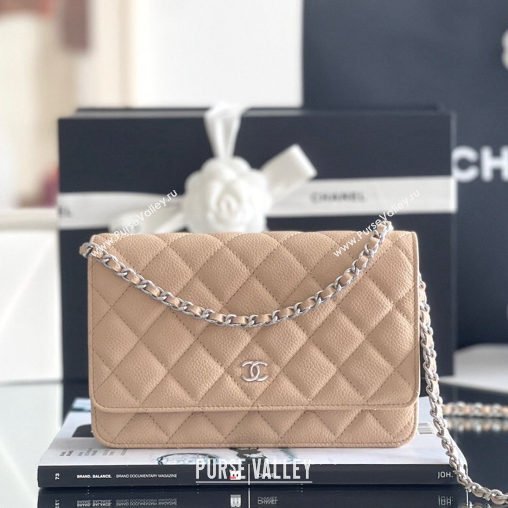 Chanel Grained Calfskin Classic Wallet on Chain WOC Beige/Silver 2024 Top Quality (MHE-24071611)