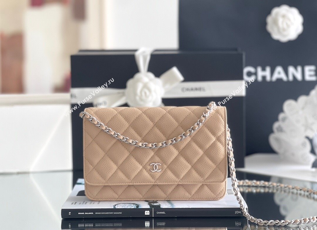 Chanel Grained Calfskin Classic Wallet on Chain WOC Beige/Silver 2024 Top Quality (MHE-24071611)