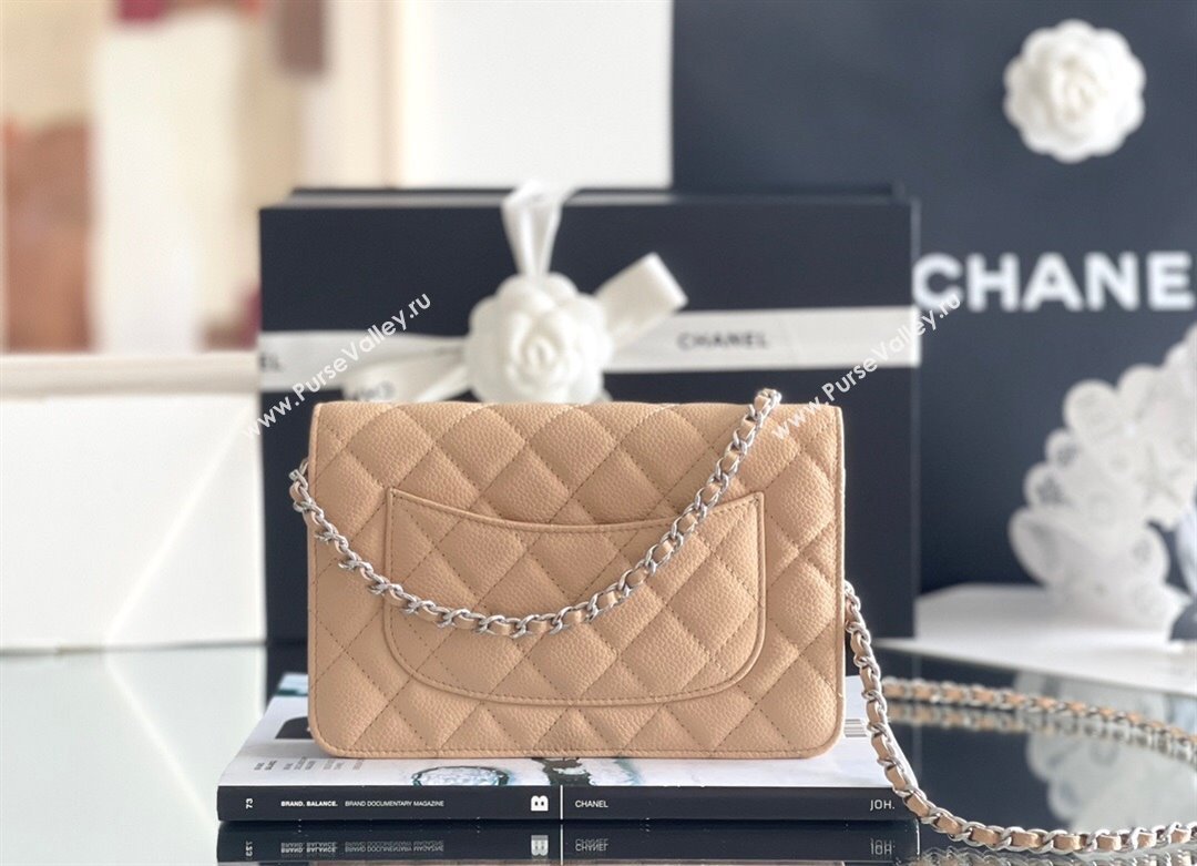 Chanel Grained Calfskin Classic Wallet on Chain WOC Beige/Silver 2024 Top Quality (MHE-24071611)