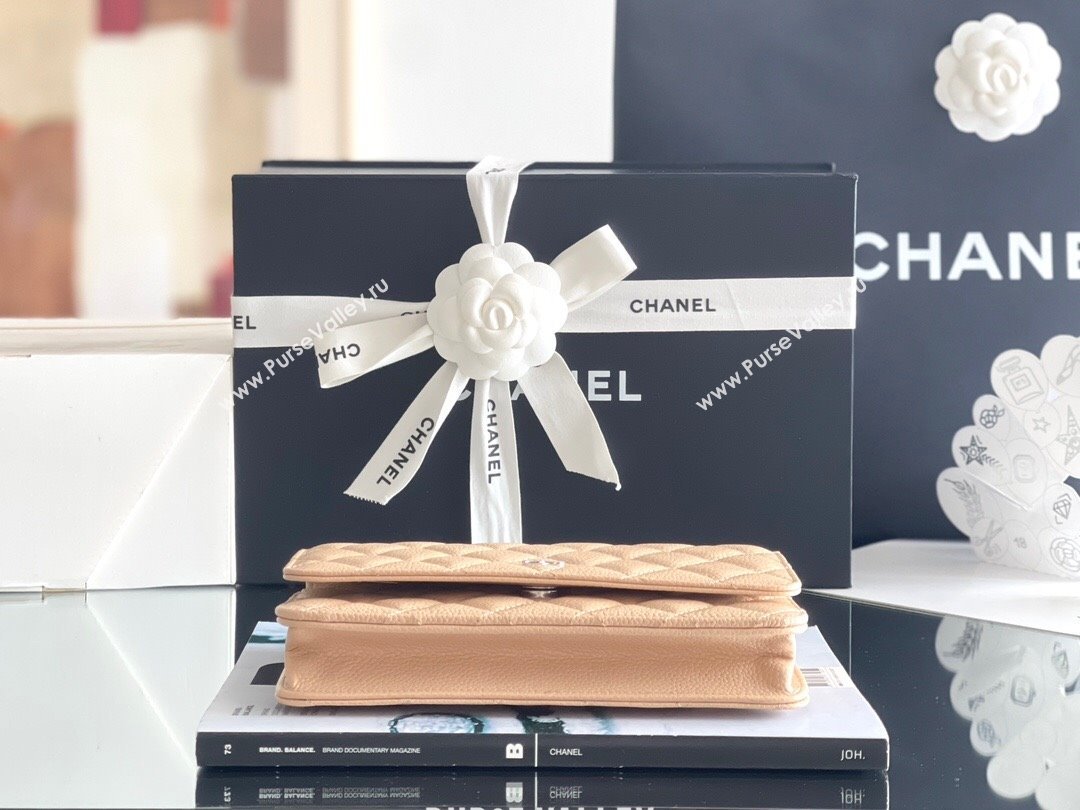 Chanel Grained Calfskin Classic Wallet on Chain WOC Beige/Silver 2024 Top Quality (MHE-24071611)