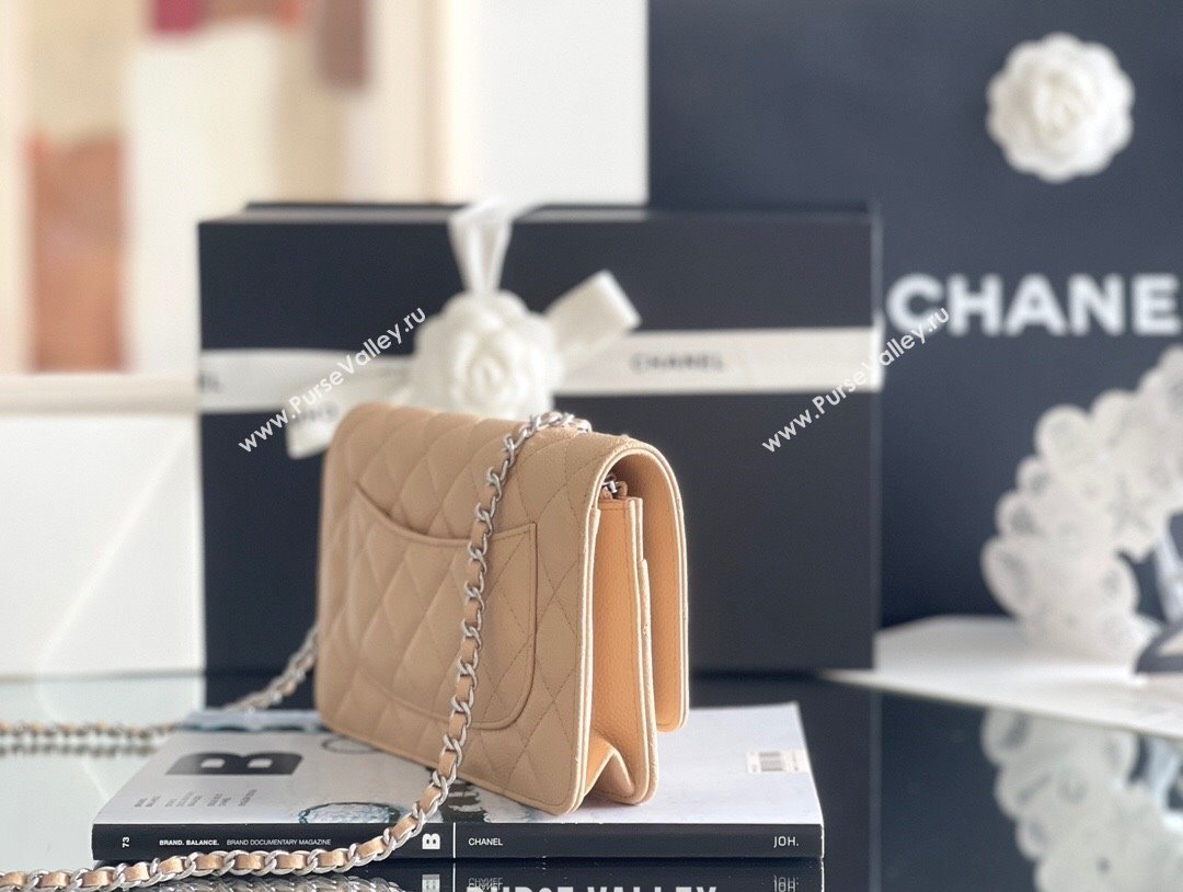 Chanel Grained Calfskin Classic Wallet on Chain WOC Beige/Silver 2024 Top Quality (MHE-24071611)