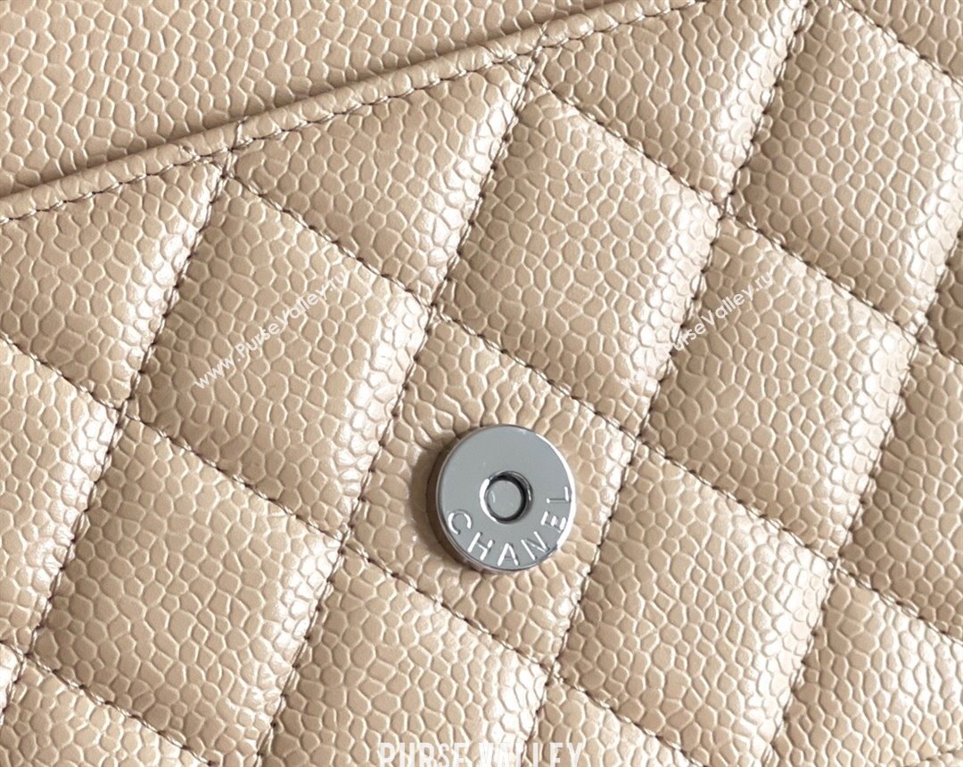 Chanel Grained Calfskin Classic Wallet on Chain WOC Beige/Silver 2024 Top Quality (MHE-24071611)